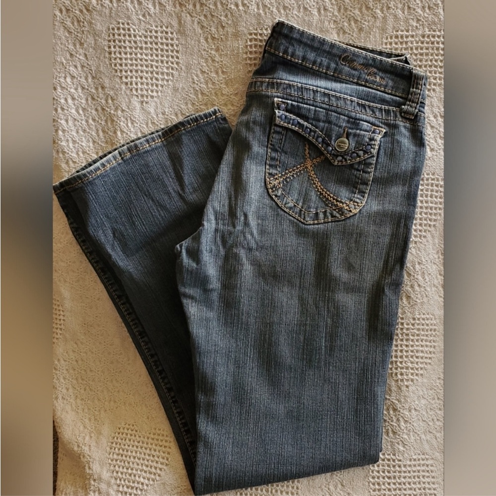 Stylish Blue Women's Common Jeans